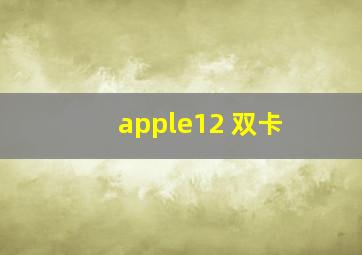 apple12 双卡